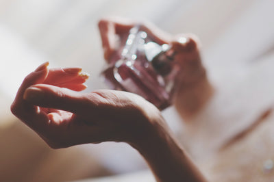 Pulse Points and Perfumes: Where Arome Comes Alive