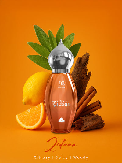 Zidaan